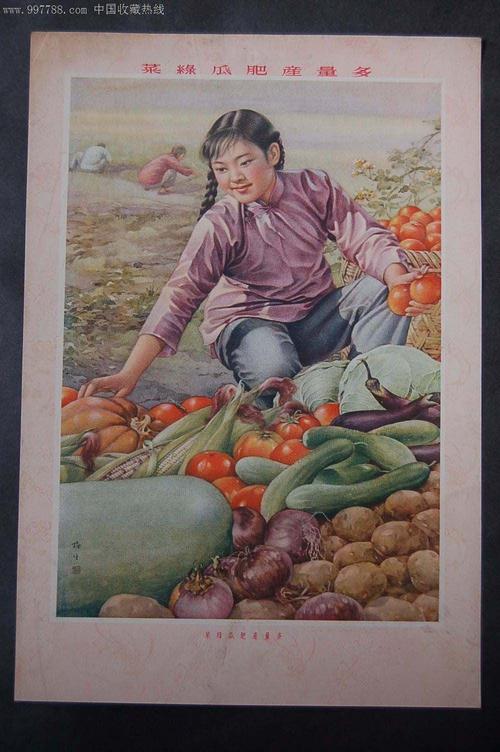 《菜绿瓜肥产量多》实物翻拍版：底部出版信息「上海画片出版社」与金梅生落款清晰可辨